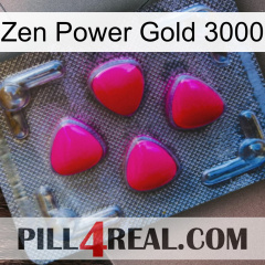 Zen Power Gold 3000 13